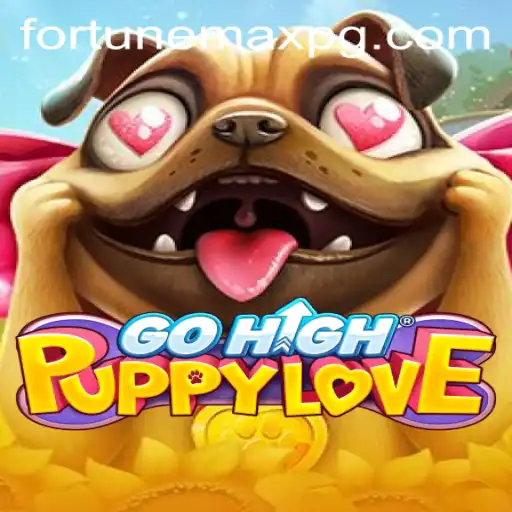 A Deep Dive into GoHighPuppyLove and the Art of FortuneMax