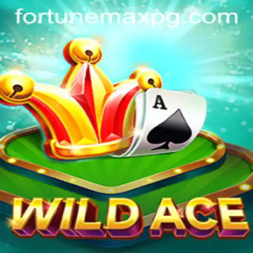 The Thrilling World of WildAce: Unveiling the FortuneMax Experience